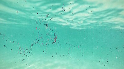 Unterwasserfoto von treibendem Mikroplastik
