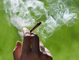 Rauchender Joint vor grünem Hintergrund
