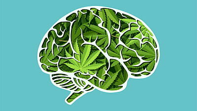 Gemaltes Gehirn aus Cannabisblättern vor türkisem Hintergrund