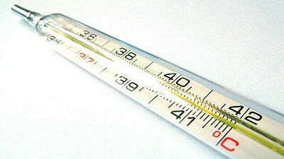 Quecksilberthermometer