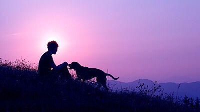 Person mit Hund vor Sonnenauf- oder untergang