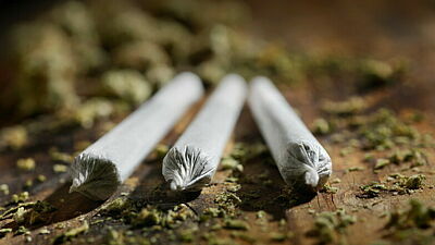 Drei gedrehte Joints, Marihuana-Krümmel drumherum