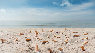 Ausgedrückte Zigarettenkippen am Strand