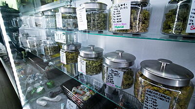 Gläser mit Cannabissorten und Preisschildern in einem Regal