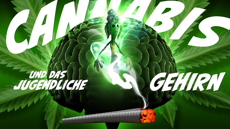 Vorschaubild zum Video "Wie schädlich ist Cannabis für das Gehirn Jugendlicher?"