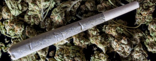 Joint auf getrockneten Cannabisblüten
