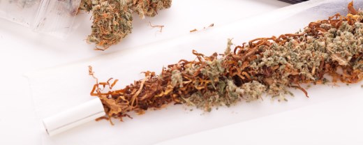 Noch nicht zugeklebter Joint mit Tabak und Cannabis