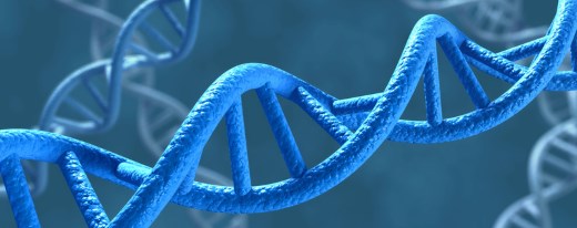 Modell der DNA