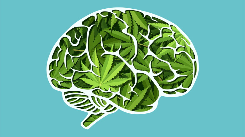 Gemaltes Gehirn aus Cannabisblättern vor türkisem Hintergrund
