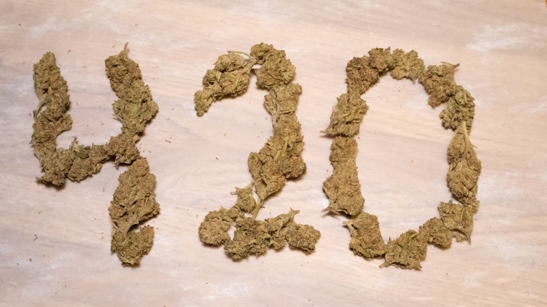 Die Zahl "420" aus getrockneten Cannabisblüten