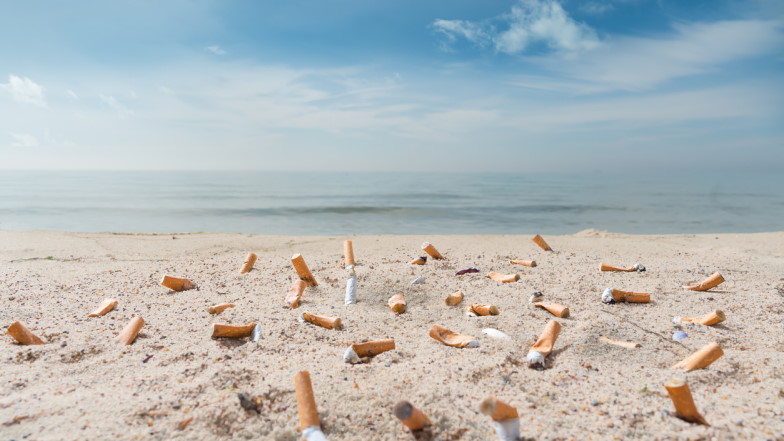 Ausgedrückte Zigarettenkippen am Strand