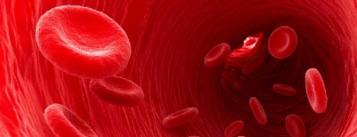 Grafische Darstellung von roten Blutkörperchen in einer Blutbahn