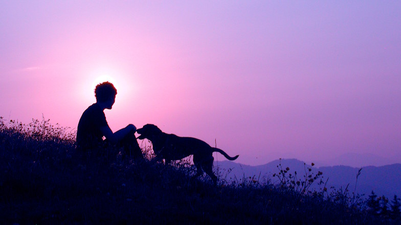 Person mit Hund vor Sonnenauf- oder untergang