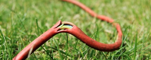 Stromkabel mit aufgeplatzer Isolieren im Gras