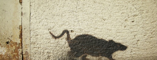 Aufgemalte Silhouette einer Ratte auf einer schmuddeligen Hauswand