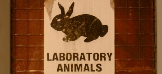 Schild mit abgebildetem Kaninchen, darunter steht 